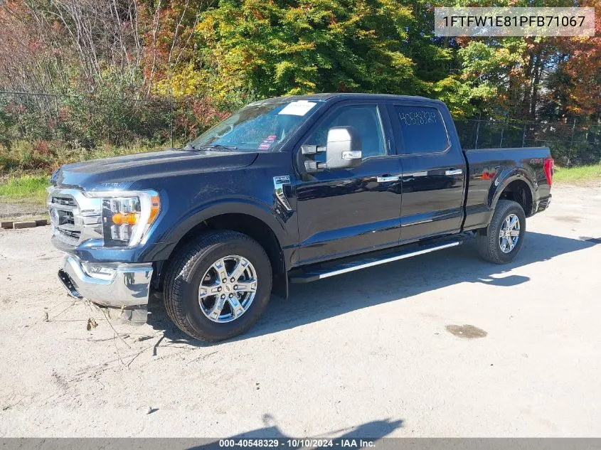 1FTFW1E81PFB71067 2023 Ford F-150 Xlt