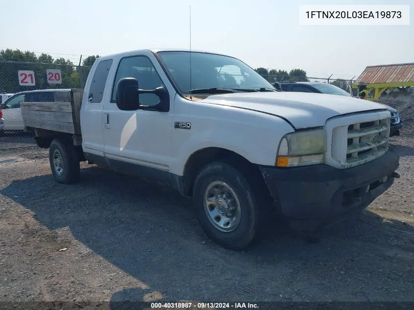 2003 Ford F-250 Lariat/Xl/Xlt VIN: 1FTNX20L03EA19873 Lot: 40318987