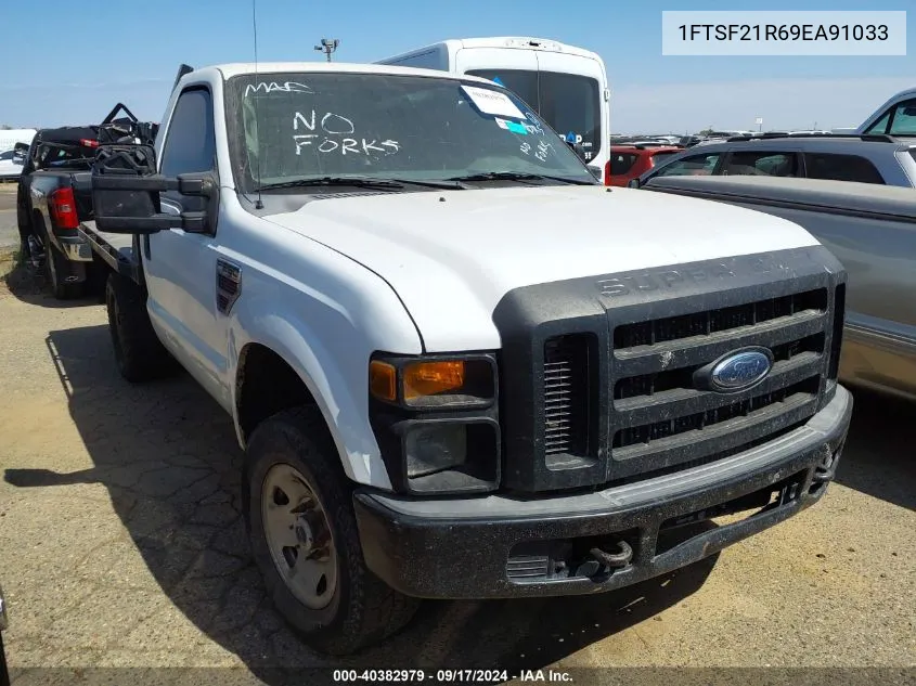 2009 Ford F-250 Xl/Xlt VIN: 1FTSF21R69EA91033 Lot: 40382979