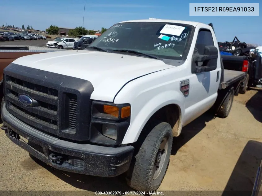 2009 Ford F-250 Xl/Xlt VIN: 1FTSF21R69EA91033 Lot: 40382979