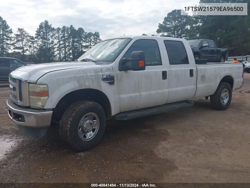 2009 Ford F-250 Fx4/King Ranch/Lariat/Xl/Xlt VIN: 1FTSW21579EA96500 Lot: 40841484