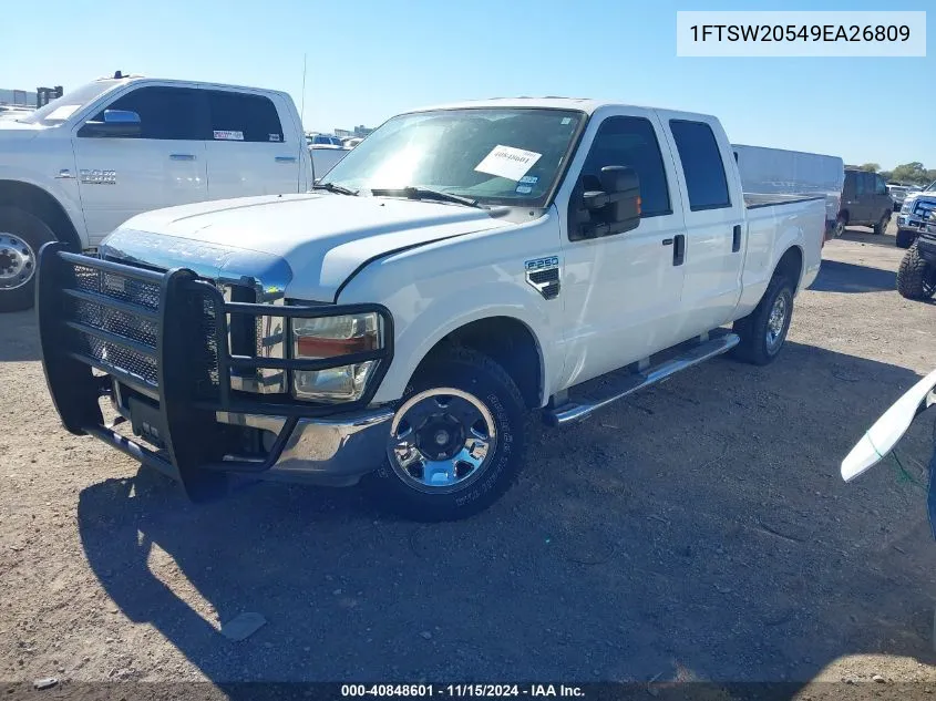 2009 Ford F-250 King Ranch/Lariat/Xl/Xlt VIN: 1FTSW20549EA26809 Lot: 40848601