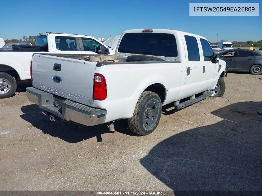 2009 Ford F-250 King Ranch/Lariat/Xl/Xlt VIN: 1FTSW20549EA26809 Lot: 40848601