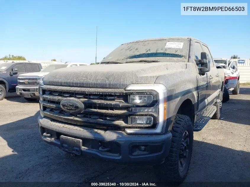 2023 Ford F-250 Xlt VIN: 1FT8W2BM9PED66503 Lot: 39825340