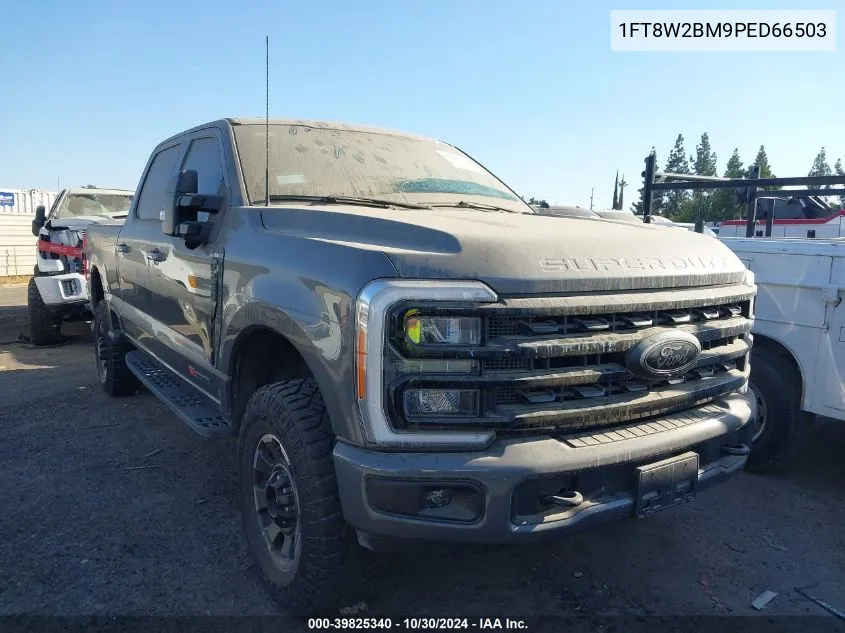 2023 Ford F-250 Xlt VIN: 1FT8W2BM9PED66503 Lot: 39825340