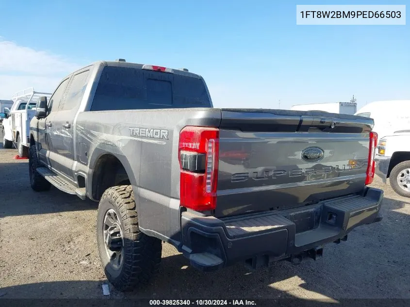 2023 Ford F-250 Xlt VIN: 1FT8W2BM9PED66503 Lot: 39825340