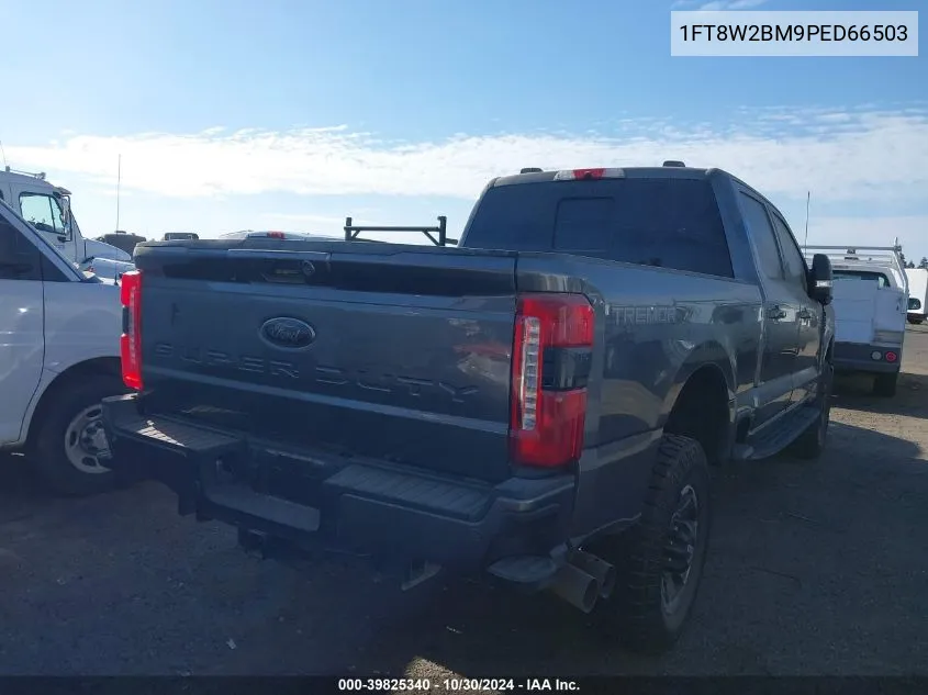 2023 Ford F-250 Xlt VIN: 1FT8W2BM9PED66503 Lot: 39825340