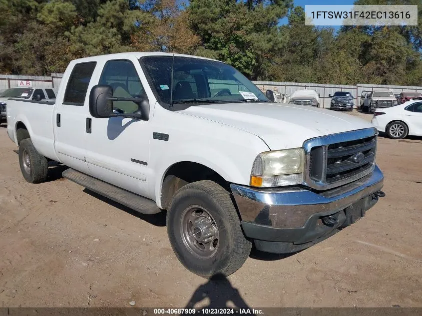 2002 Ford Super Duty F-350 Srw Lariat/Xl/Xlt VIN: 1FTSW31F42EC13616 Lot: 40687909