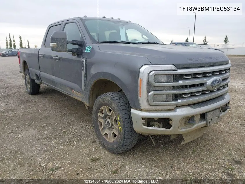 2023 Ford F350 Super Duty VIN: 1FT8W3BM1PEC53134 Lot: 12124331