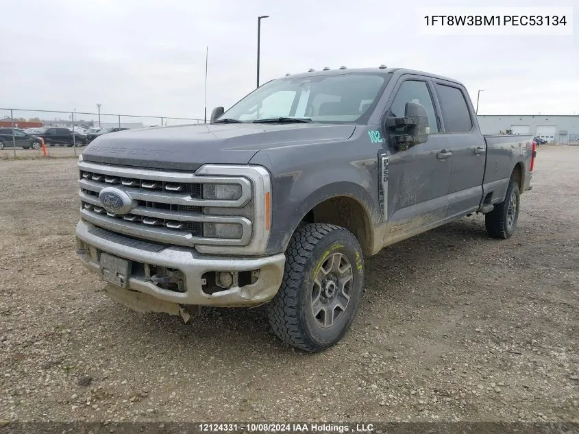 2023 Ford F350 Super Duty VIN: 1FT8W3BM1PEC53134 Lot: 12124331