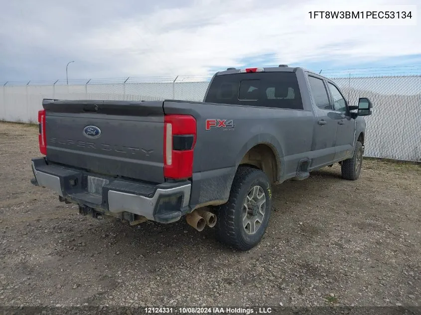 2023 Ford F350 Super Duty VIN: 1FT8W3BM1PEC53134 Lot: 12124331