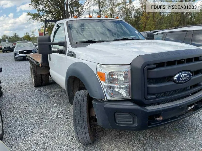 2013 Ford F-550 Chassis Xl VIN: 1FDUF5HY5DEA81203 Lot: 40625916