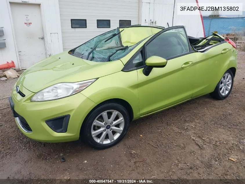 2011 Ford Fiesta Se VIN: 3FADP4EJ2BM135802 Lot: 40547547