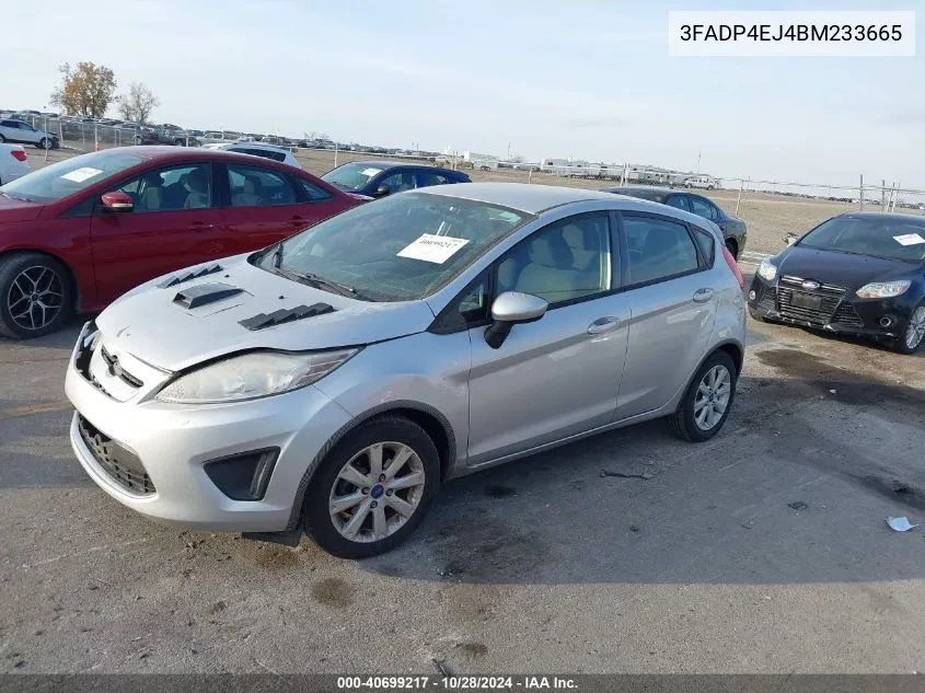 2011 Ford Fiesta Se VIN: 3FADP4EJ4BM233665 Lot: 40699217