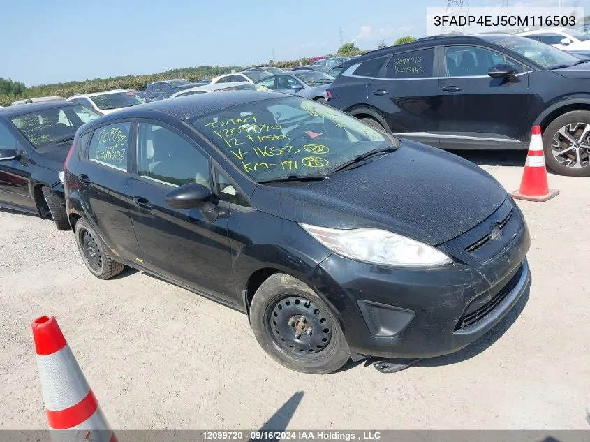 2012 Ford Fiesta VIN: 3FADP4EJ5CM116503 Lot: 12099720