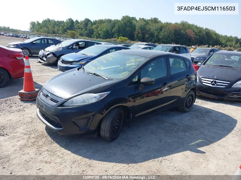 2012 Ford Fiesta VIN: 3FADP4EJ5CM116503 Lot: 12099720