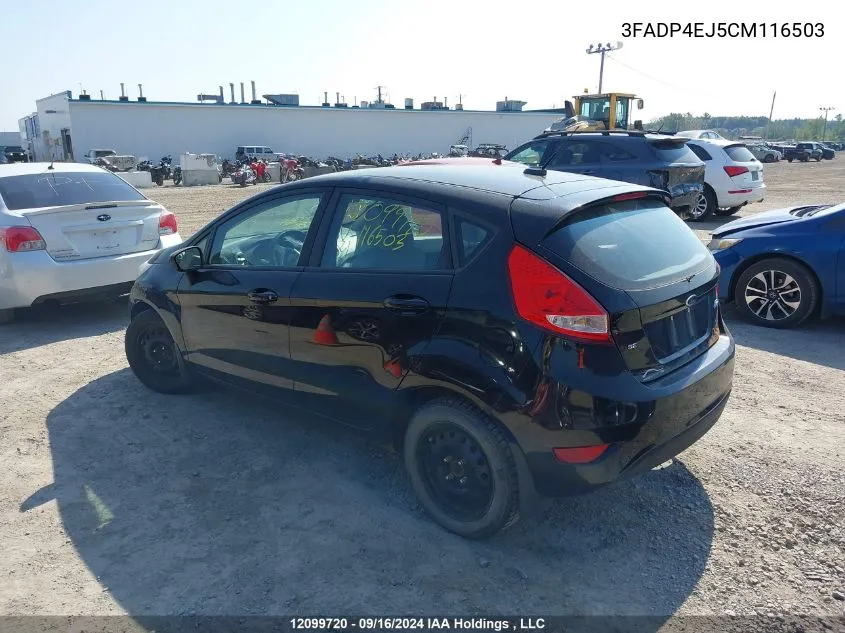 2012 Ford Fiesta VIN: 3FADP4EJ5CM116503 Lot: 12099720