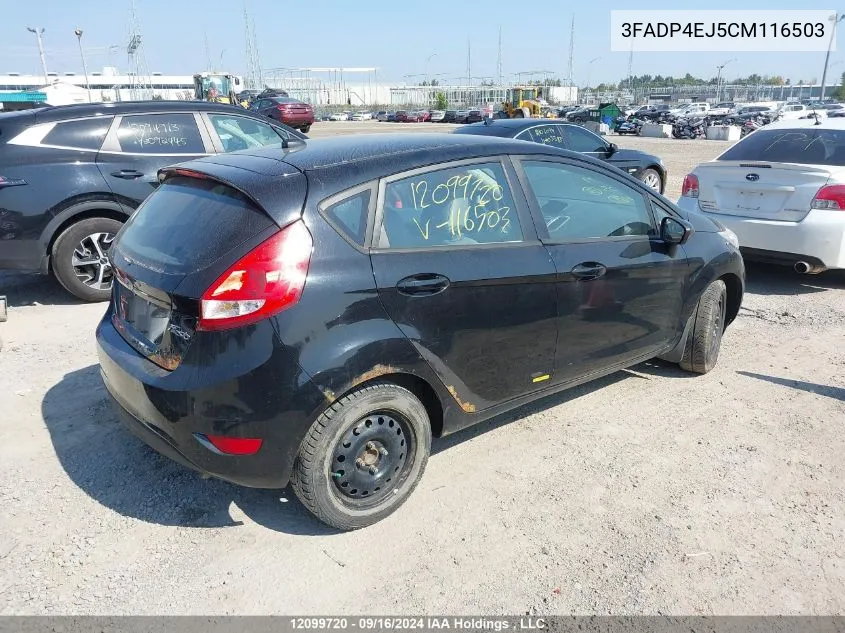 2012 Ford Fiesta VIN: 3FADP4EJ5CM116503 Lot: 12099720