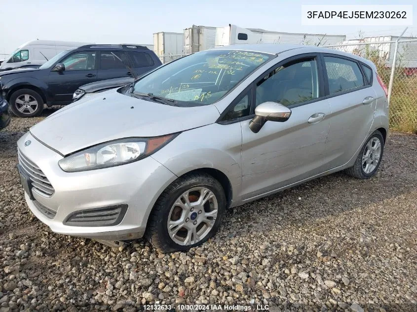 2014 Ford Fiesta Se VIN: 3FADP4EJ5EM230262 Lot: 12132633