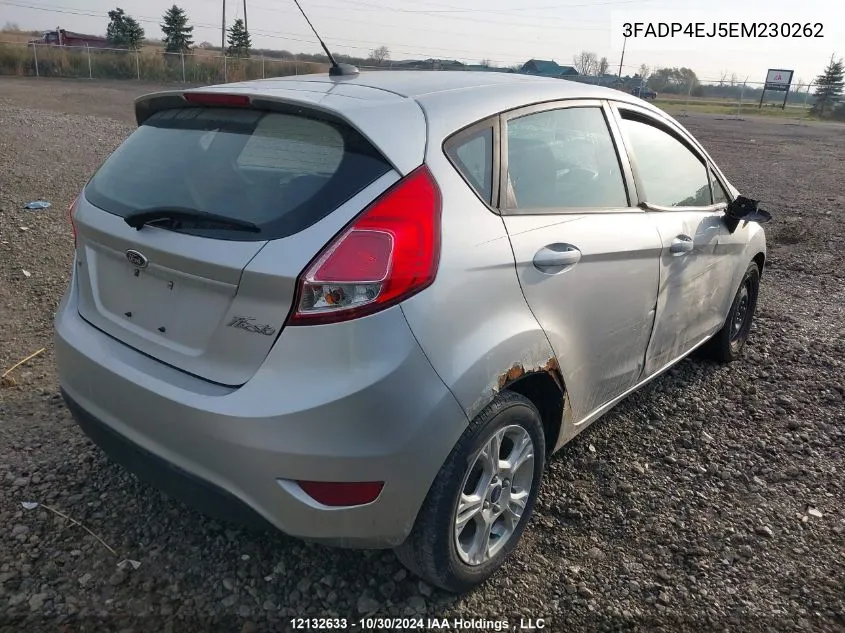 2014 Ford Fiesta Se VIN: 3FADP4EJ5EM230262 Lot: 12132633