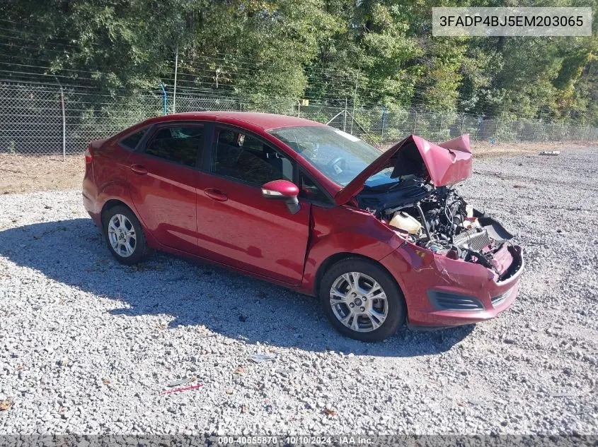 2014 Ford Fiesta Se VIN: 3FADP4BJ5EM203065 Lot: 40555870