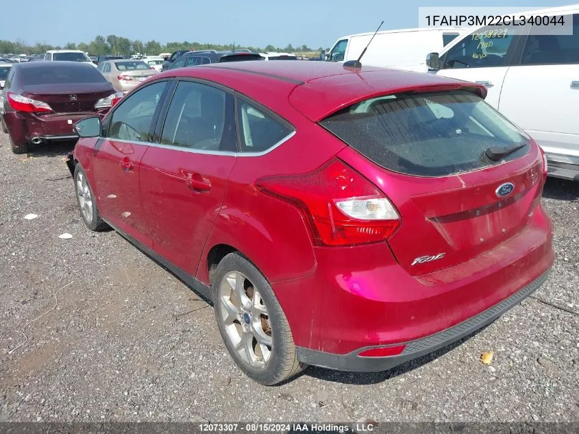 2012 Ford Focus Sel VIN: 1FAHP3M22CL340044 Lot: 12073307