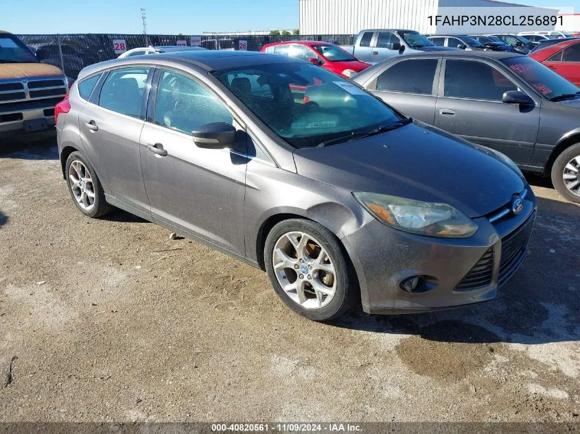 2012 Ford Focus Titanium VIN: 1FAHP3N28CL256891 Lot: 40820561