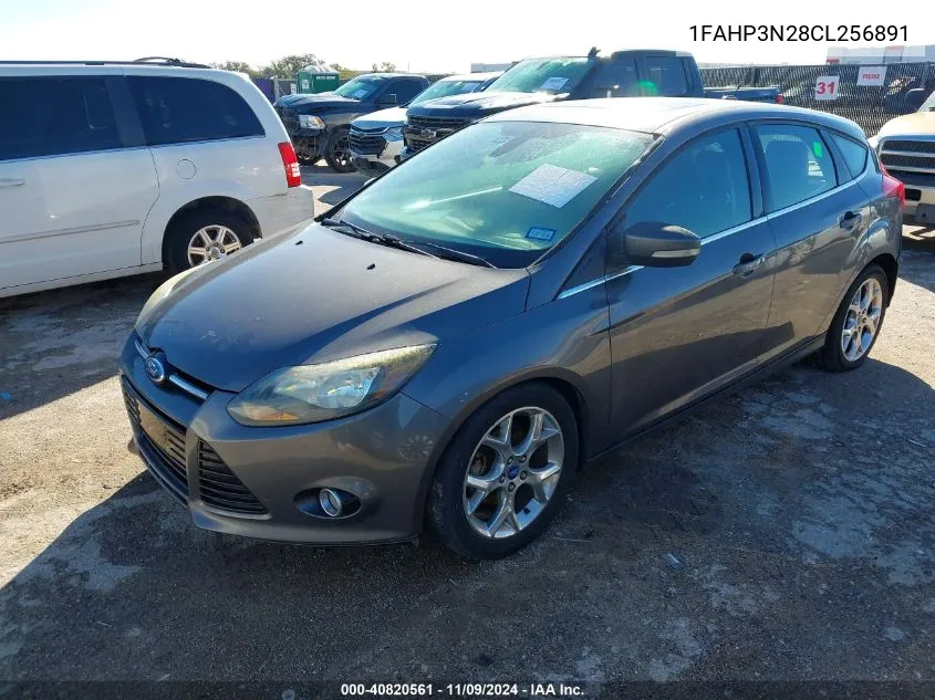 2012 Ford Focus Titanium VIN: 1FAHP3N28CL256891 Lot: 40820561