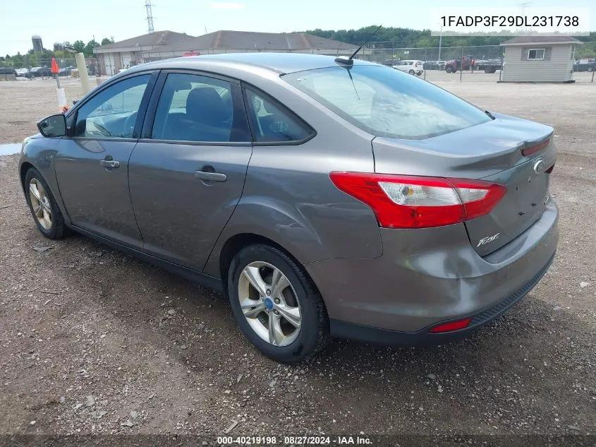 2013 Ford Focus Se VIN: 1FADP3F29DL231738 Lot: 40219198