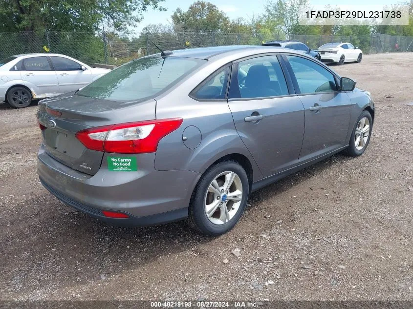 2013 Ford Focus Se VIN: 1FADP3F29DL231738 Lot: 40219198