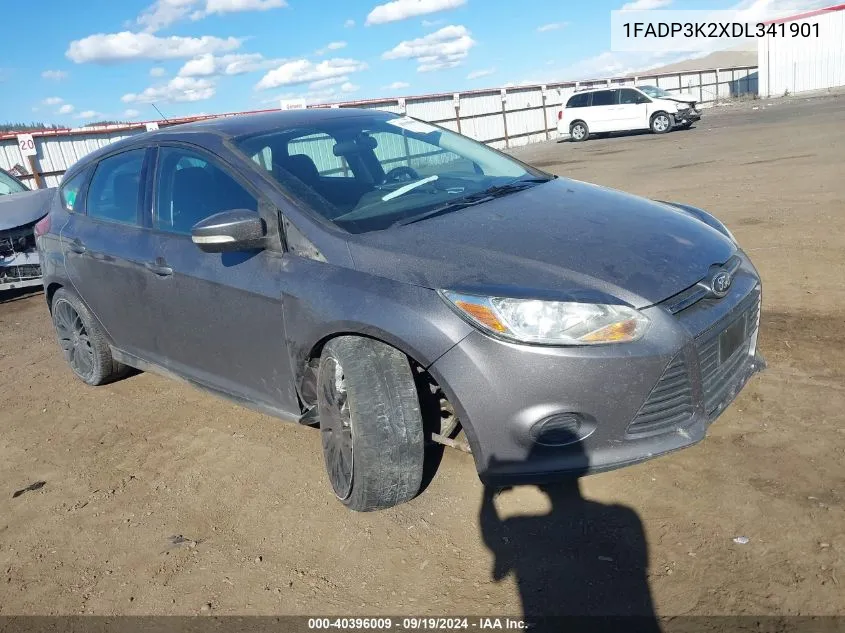 2013 Ford Focus Se VIN: 1FADP3K2XDL341901 Lot: 40396009