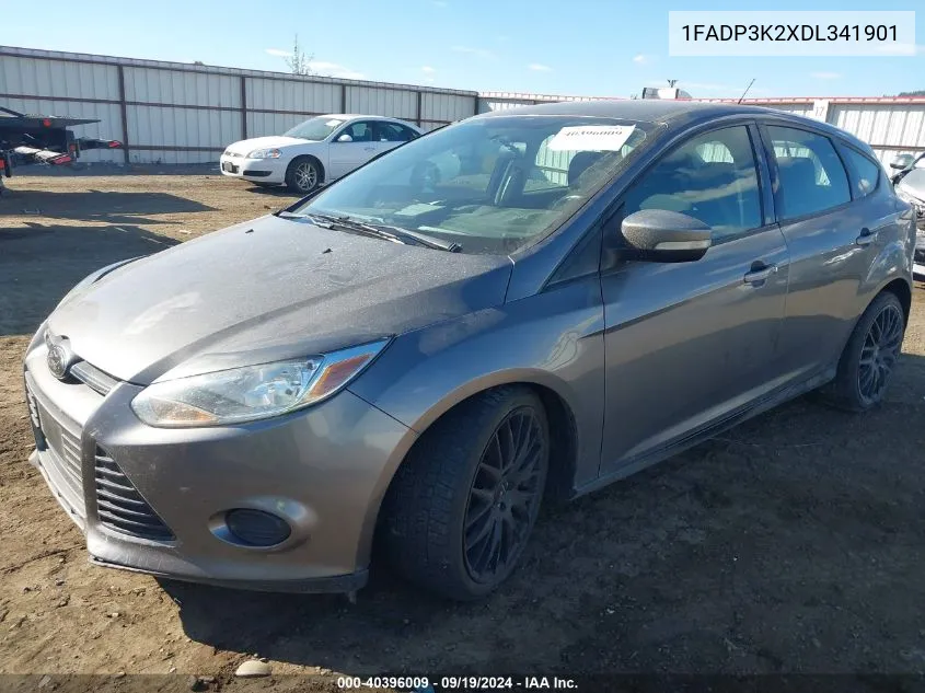 2013 Ford Focus Se VIN: 1FADP3K2XDL341901 Lot: 40396009