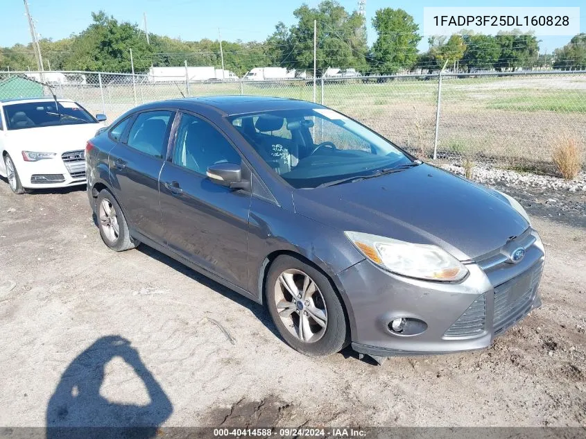 2013 Ford Focus Se VIN: 1FADP3F25DL160828 Lot: 40414588