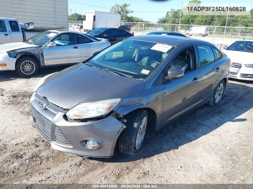 2013 Ford Focus Se VIN: 1FADP3F25DL160828 Lot: 40414588