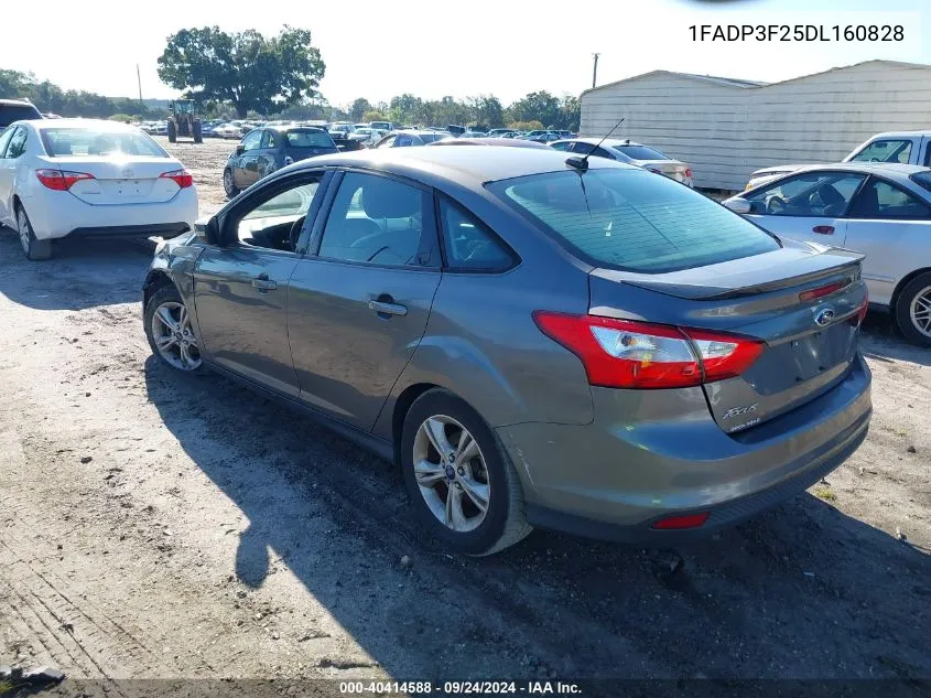 2013 Ford Focus Se VIN: 1FADP3F25DL160828 Lot: 40414588