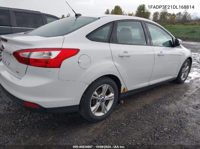 2013 Ford Focus Se VIN: 1FADP3F21DL168814 Lot: 40534567