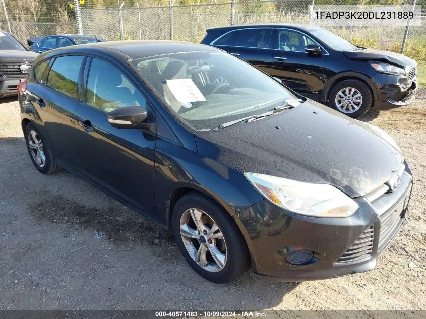 2013 Ford Focus Se VIN: 1FADP3K20DL231889 Lot: 40571463