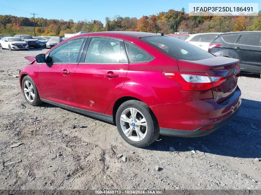 2013 Ford Focus Se VIN: 1FADP3F25DL186491 Lot: 40659713