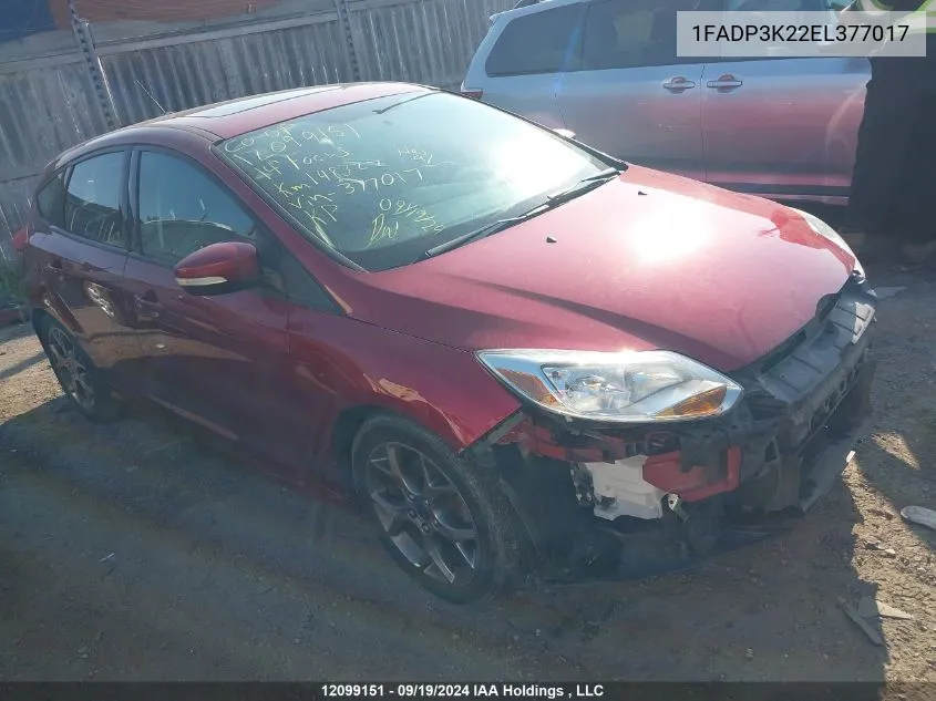 2014 Ford Focus Se VIN: 1FADP3K22EL377017 Lot: 12099151