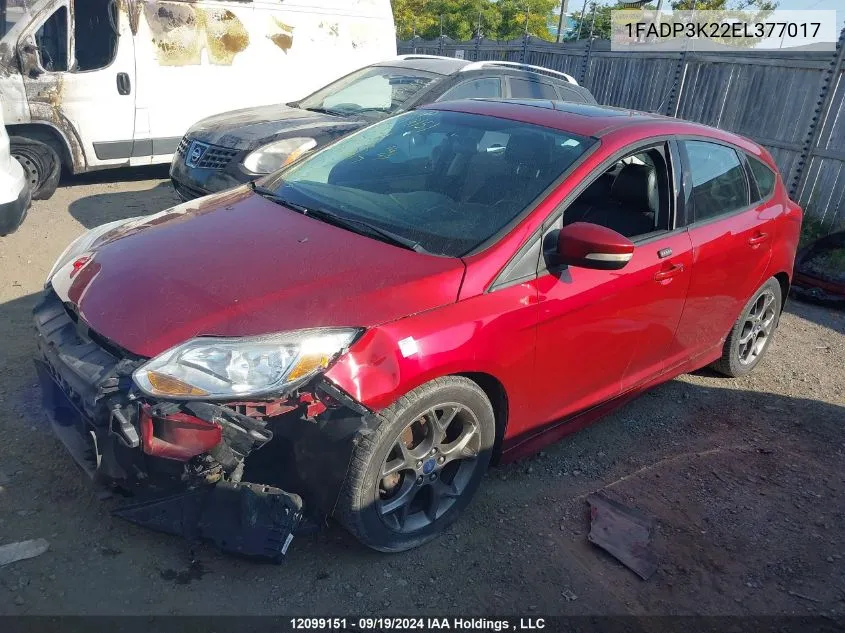 2014 Ford Focus Se VIN: 1FADP3K22EL377017 Lot: 12099151