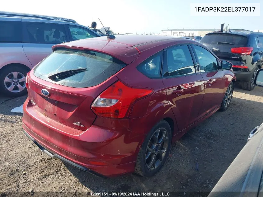 2014 Ford Focus Se VIN: 1FADP3K22EL377017 Lot: 12099151