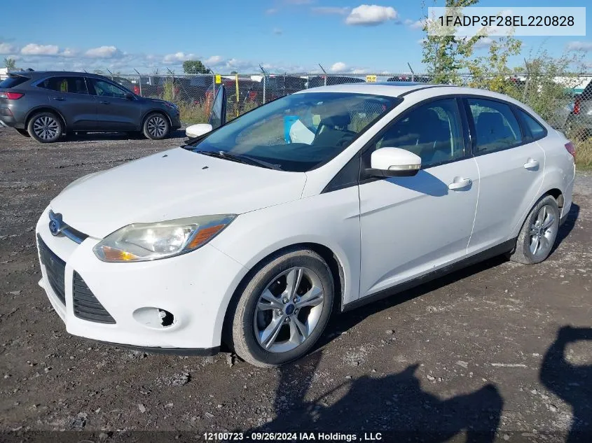 1FADP3F28EL220828 2014 Ford Focus Se