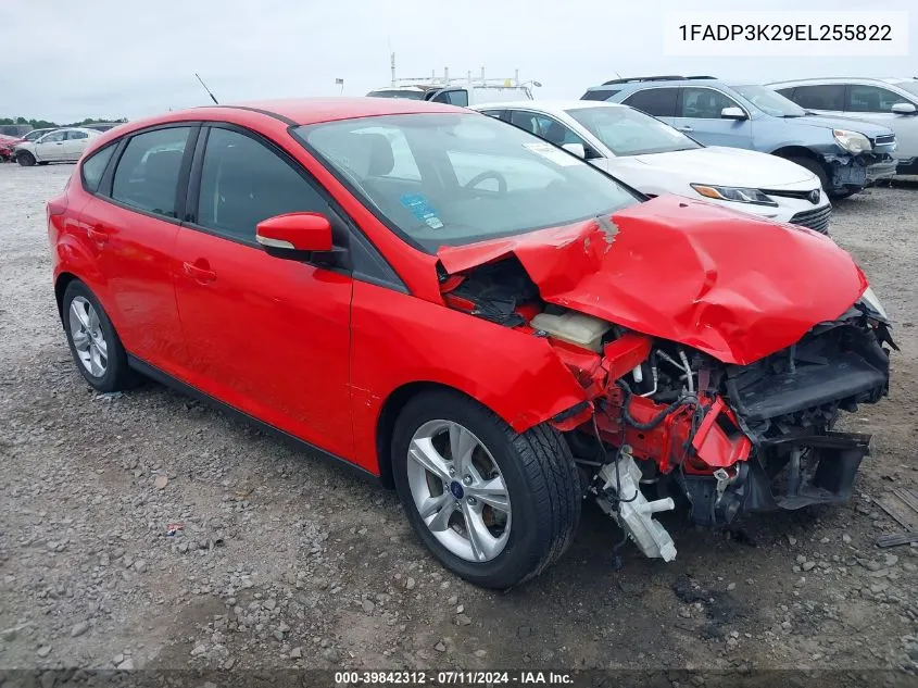 1FADP3K29EL255822 2014 Ford Focus Se