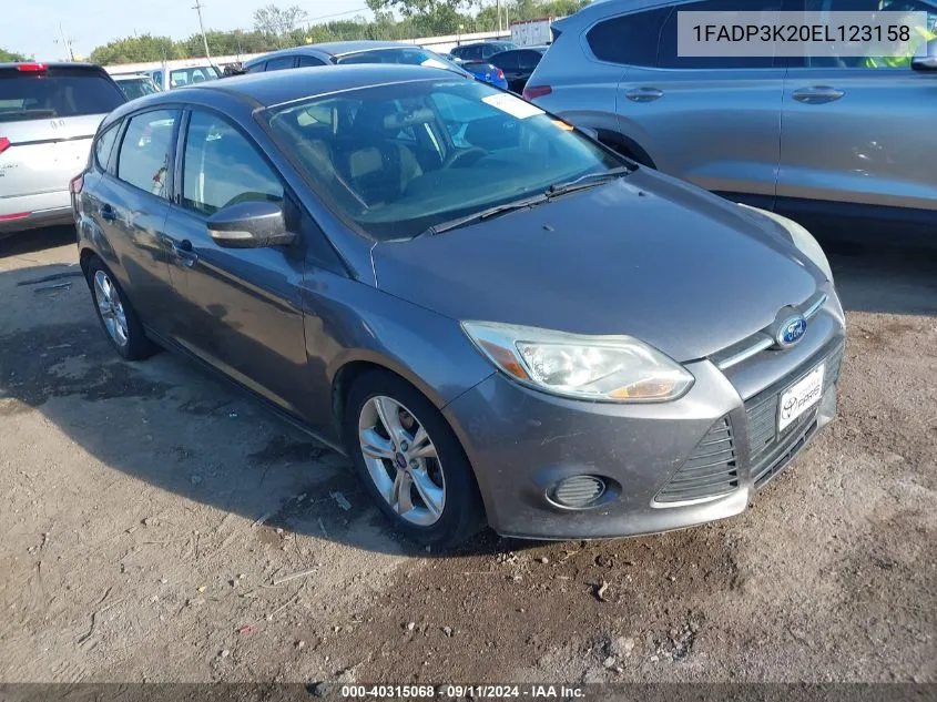 2014 Ford Focus Se VIN: 1FADP3K20EL123158 Lot: 40315068