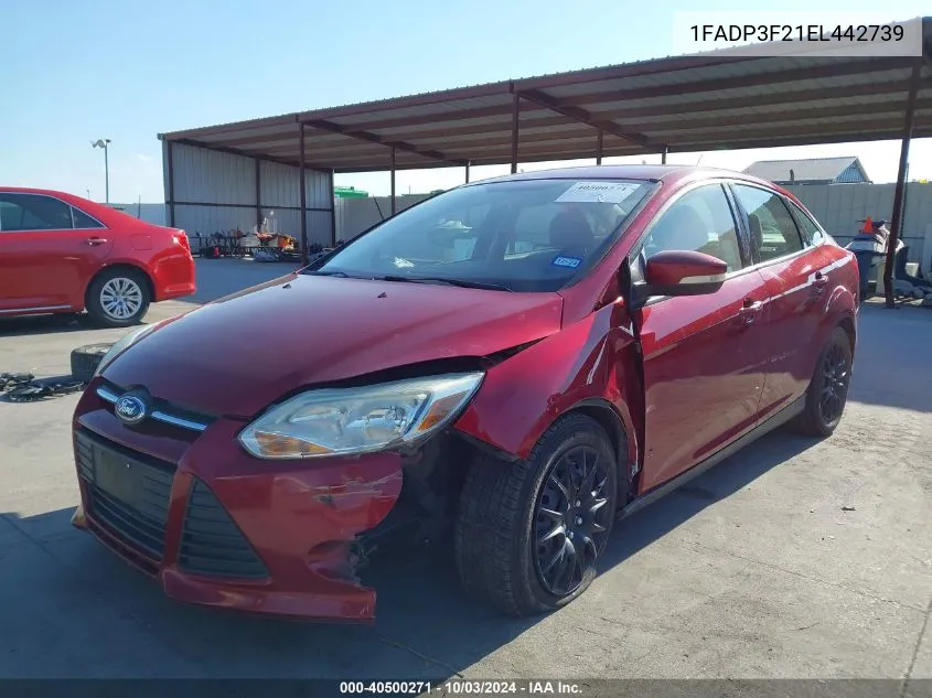 2014 Ford Focus Se VIN: 1FADP3F21EL442739 Lot: 40500271