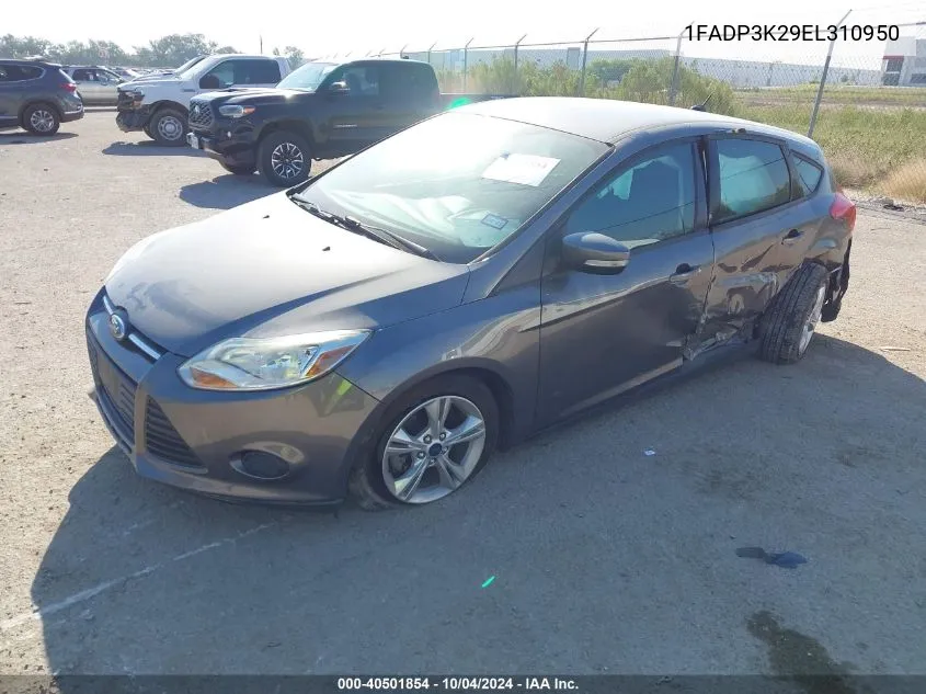 2014 Ford Focus Se VIN: 1FADP3K29EL310950 Lot: 40501854