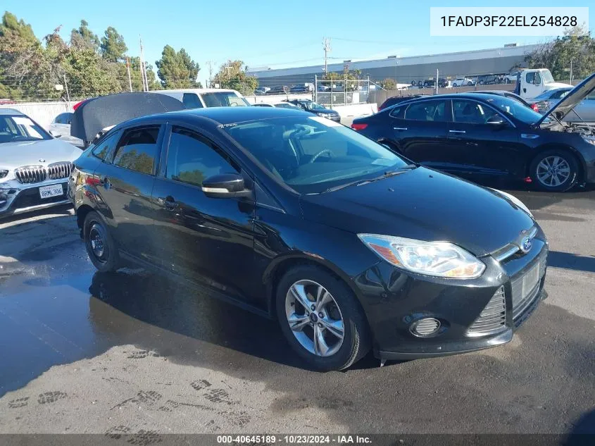 2014 Ford Focus Se VIN: 1FADP3F22EL254828 Lot: 40645189