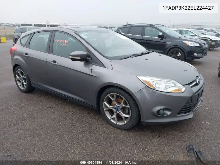 2014 Ford Focus Se VIN: 1FADP3K22EL224427 Lot: 40804894