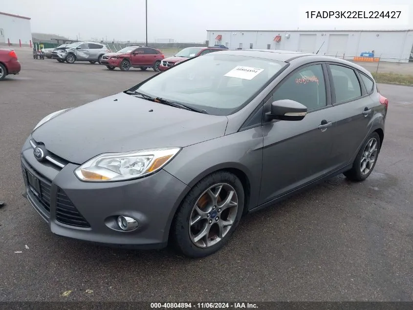 2014 Ford Focus Se VIN: 1FADP3K22EL224427 Lot: 40804894