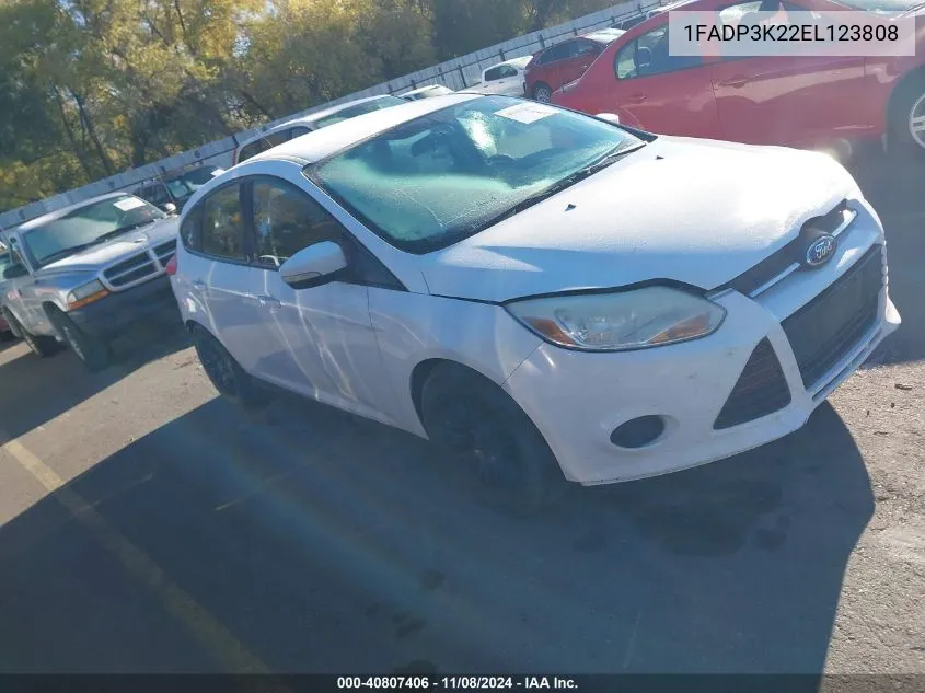 2014 Ford Focus Se VIN: 1FADP3K22EL123808 Lot: 40807406